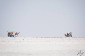 White Rann